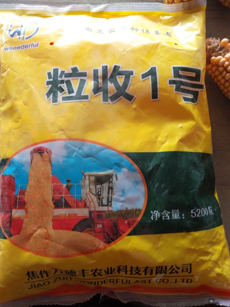 玉米种2017年国审品种秋乐368
