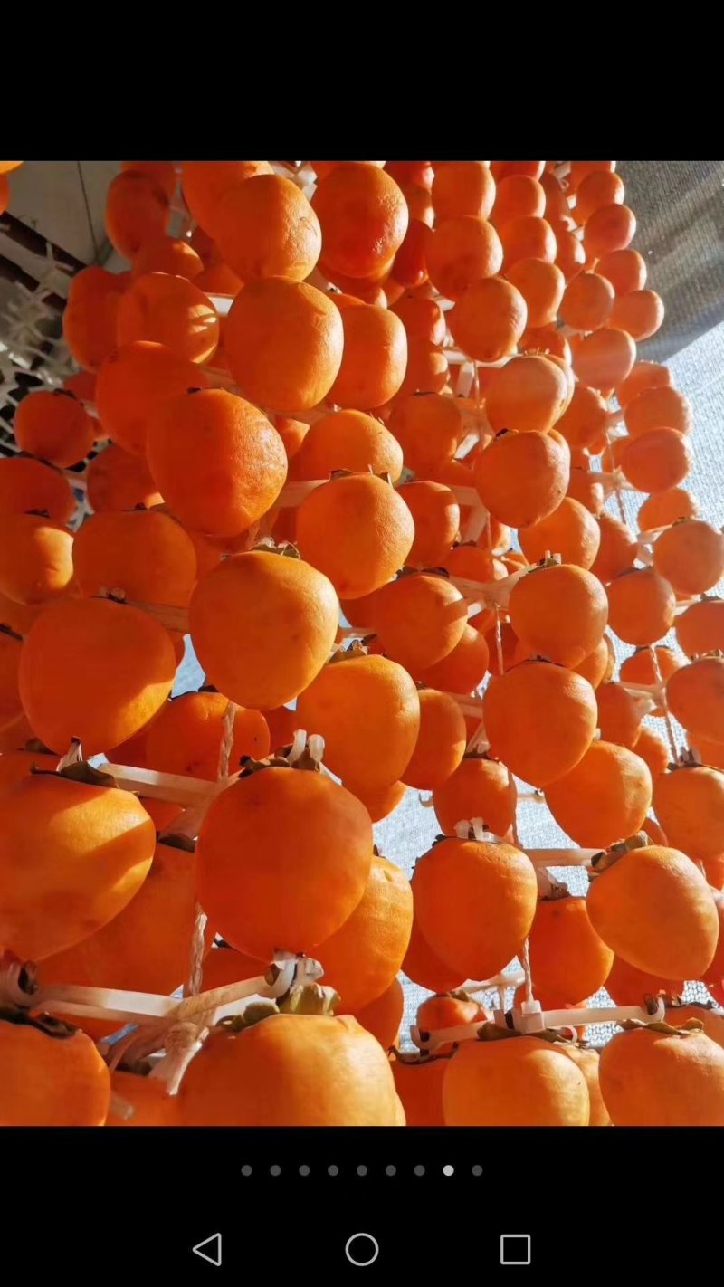 陕西柿饼