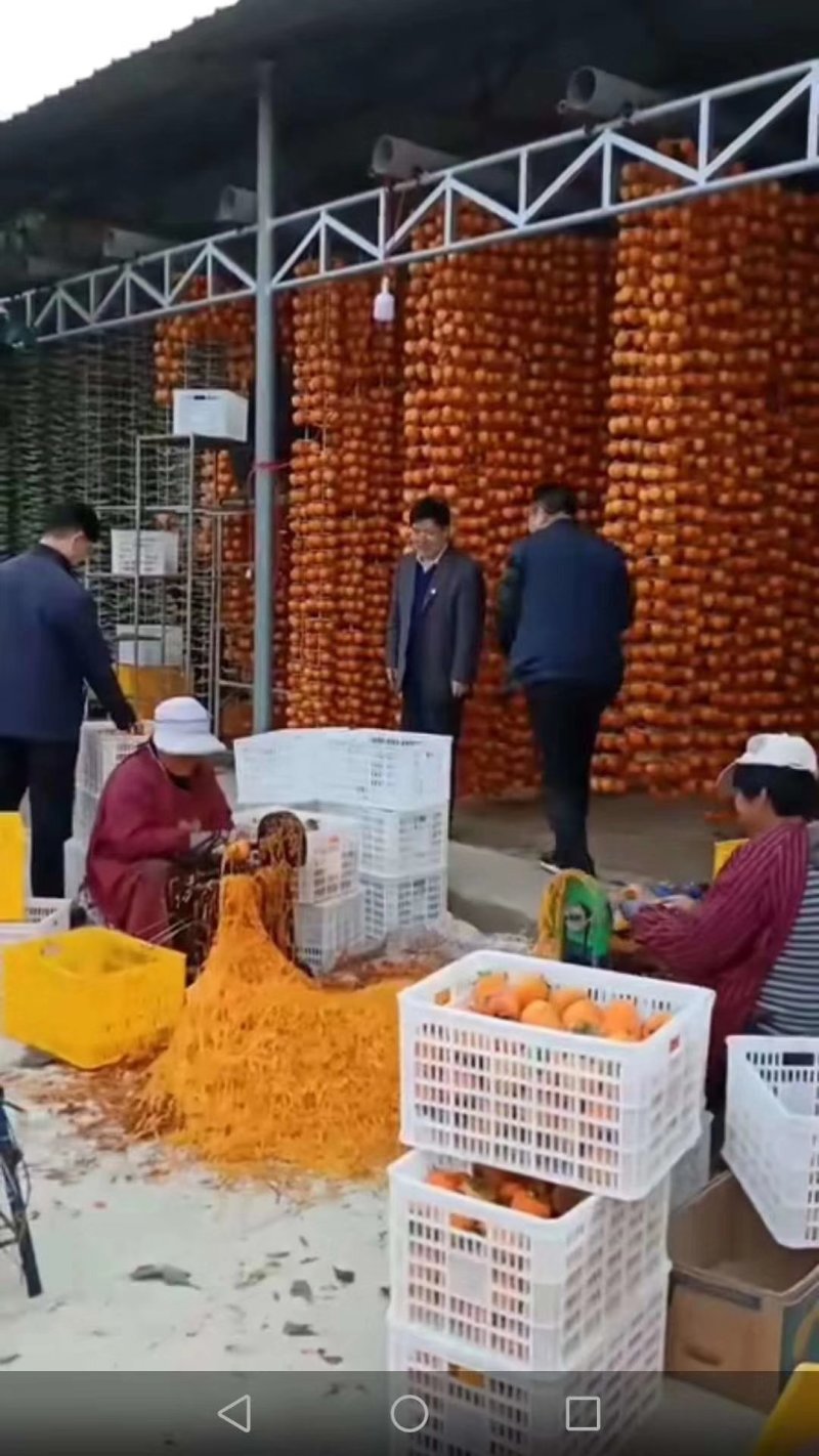 陕西柿饼