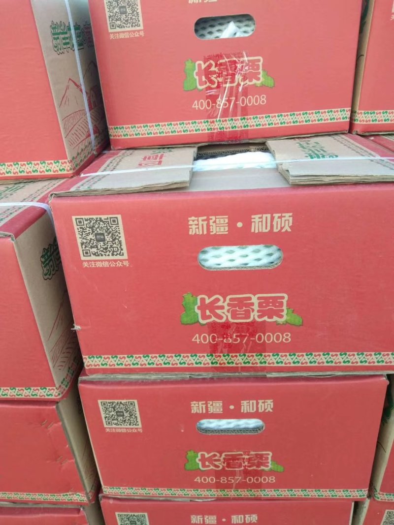 新疆长香栗南瓜！货源300吨！