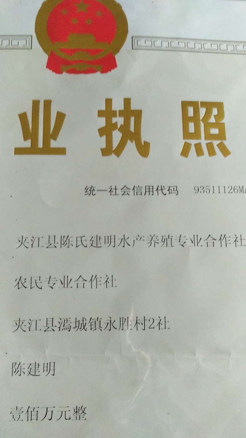 脆鲩鱼:优质活水沙石底养殖5年以上！