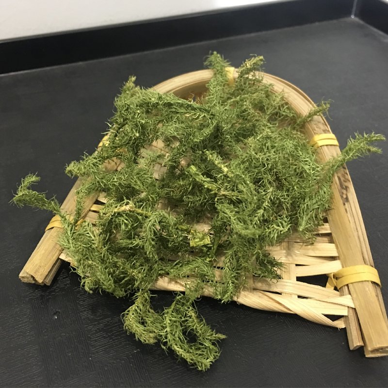 中药材伸筋草野生伸筋草正品舒筋草药无硫