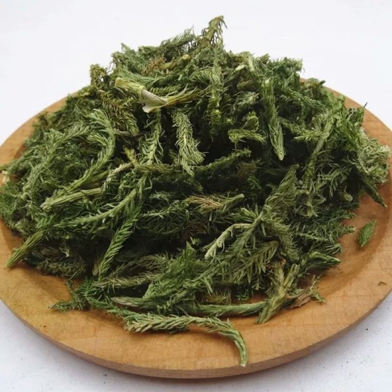 中药材伸筋草野生伸筋草正品舒筋草药无硫
