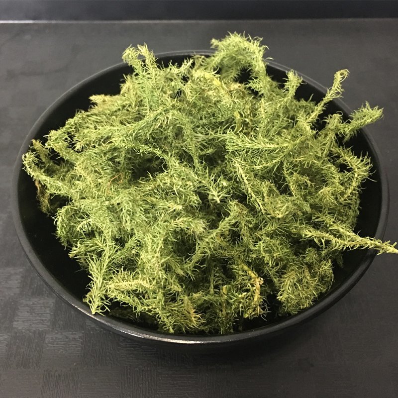 中药材伸筋草野生伸筋草正品舒筋草药无硫