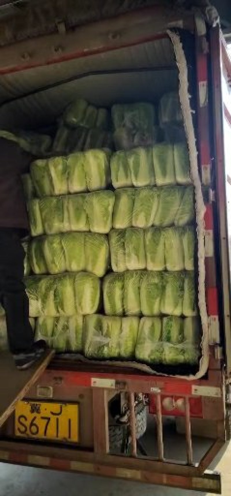山东大白菜，北京三号，北京新三号白菜大量供应，货源充足