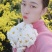 金丝皇菊，婺源皇菊！