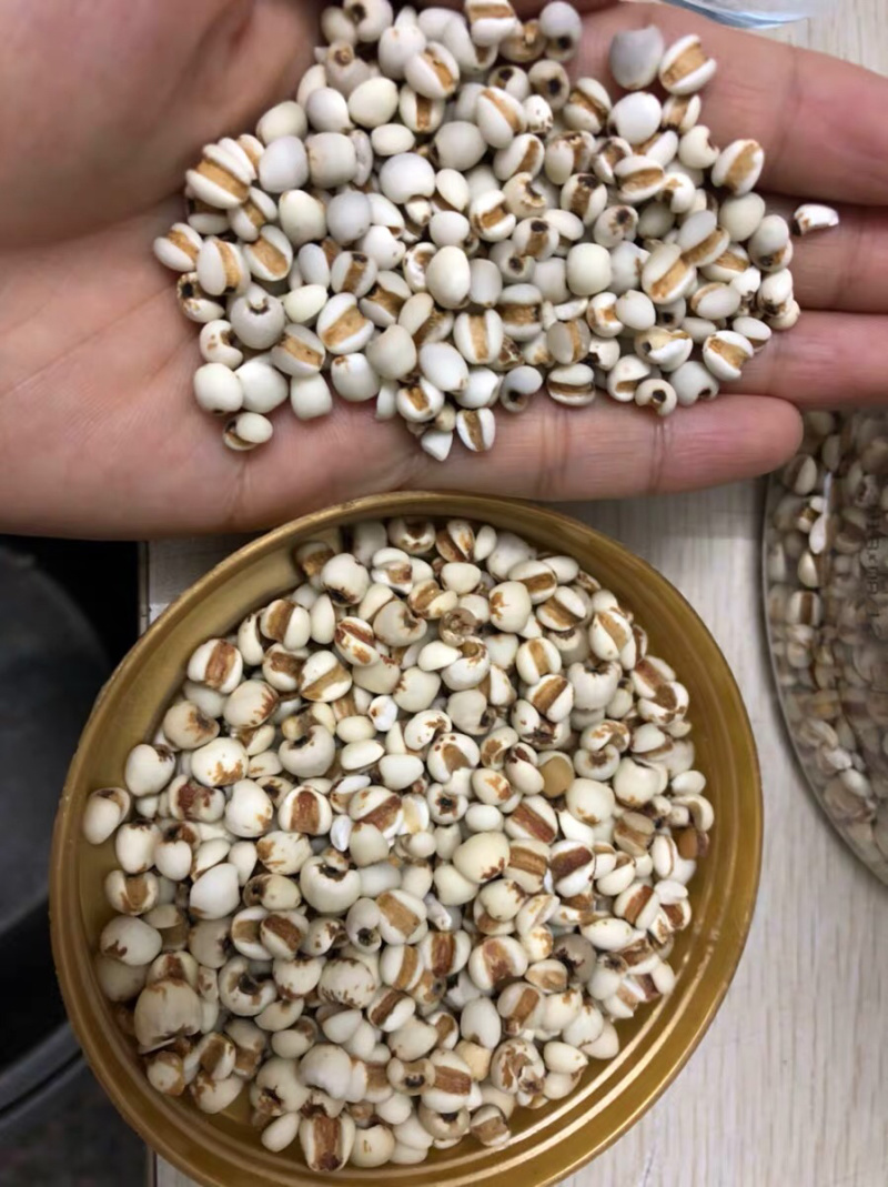 一件代发🍓🥖小薏米农家粗粮杂粮十斤四元邮费