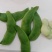 大量荷包豆（肾豆）出售，量大从优
