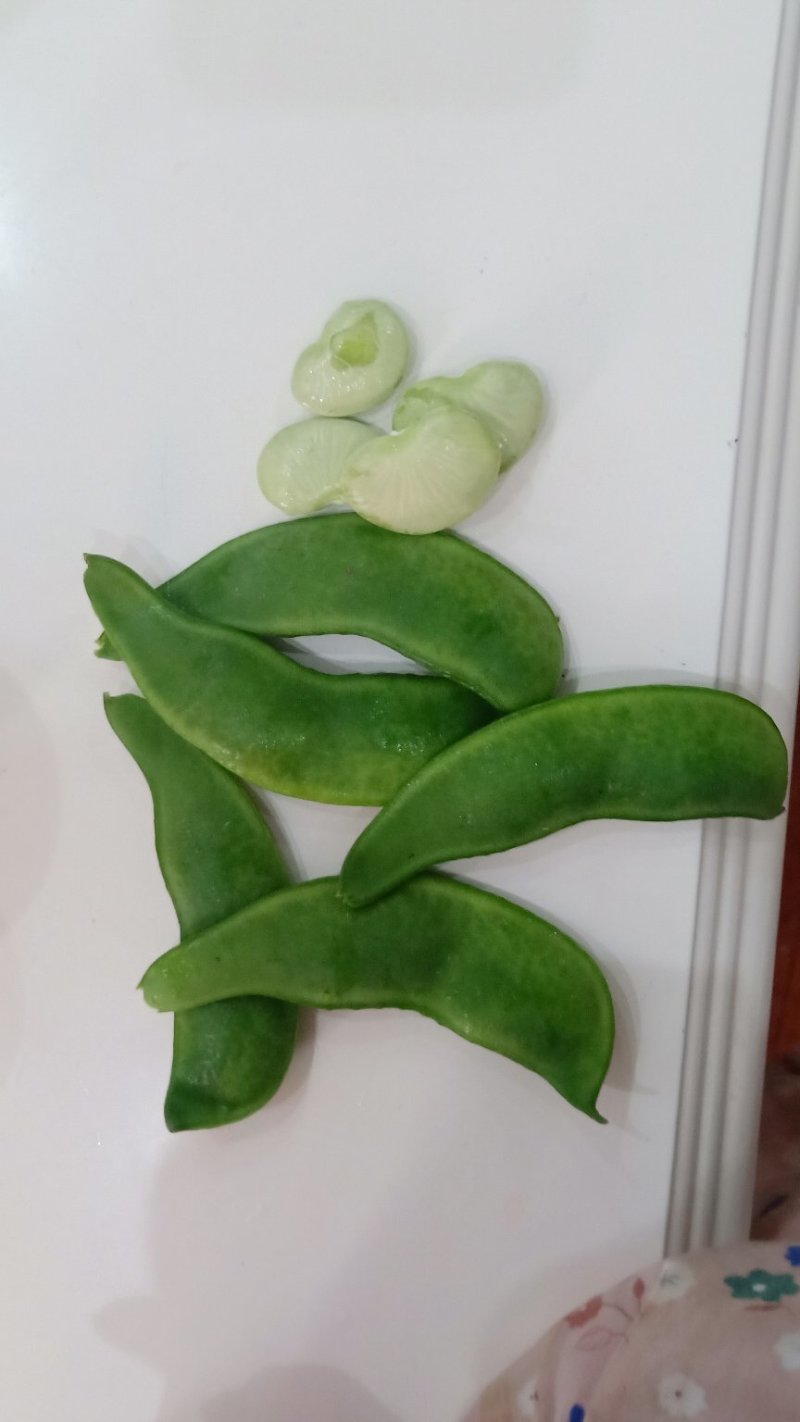 大量荷包豆（肾豆）出售，量大从优