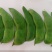 大量荷包豆（肾豆）出售，量大从优