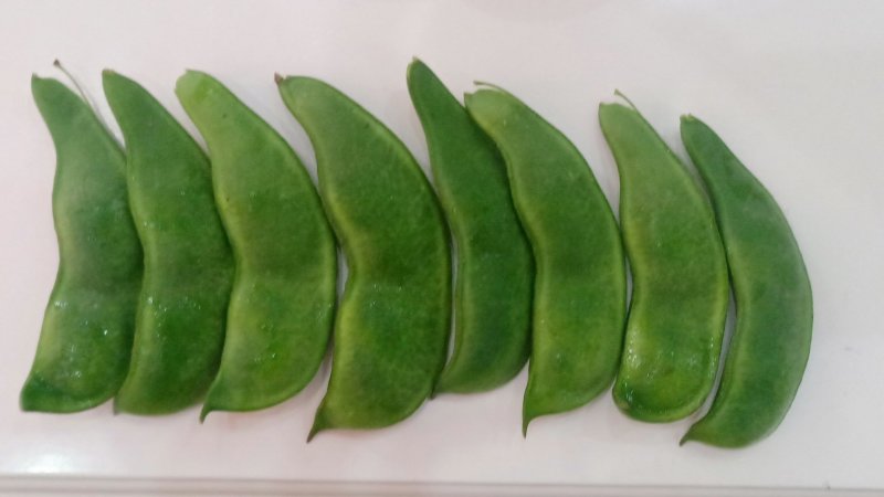 大量荷包豆（肾豆）出售，量大从优