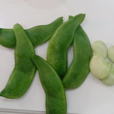 大量荷包豆（肾豆）出售，量大从优