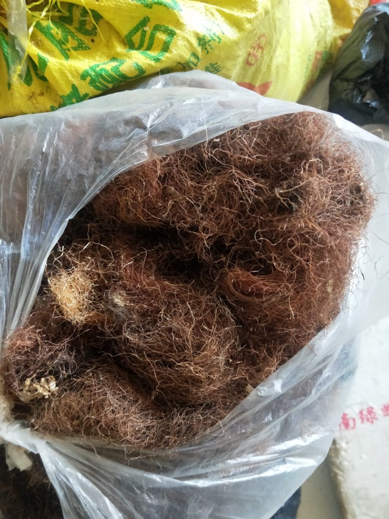 玉米须干货压件