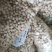 白豇豆白眉豆任意搭配每十斤邮费4元