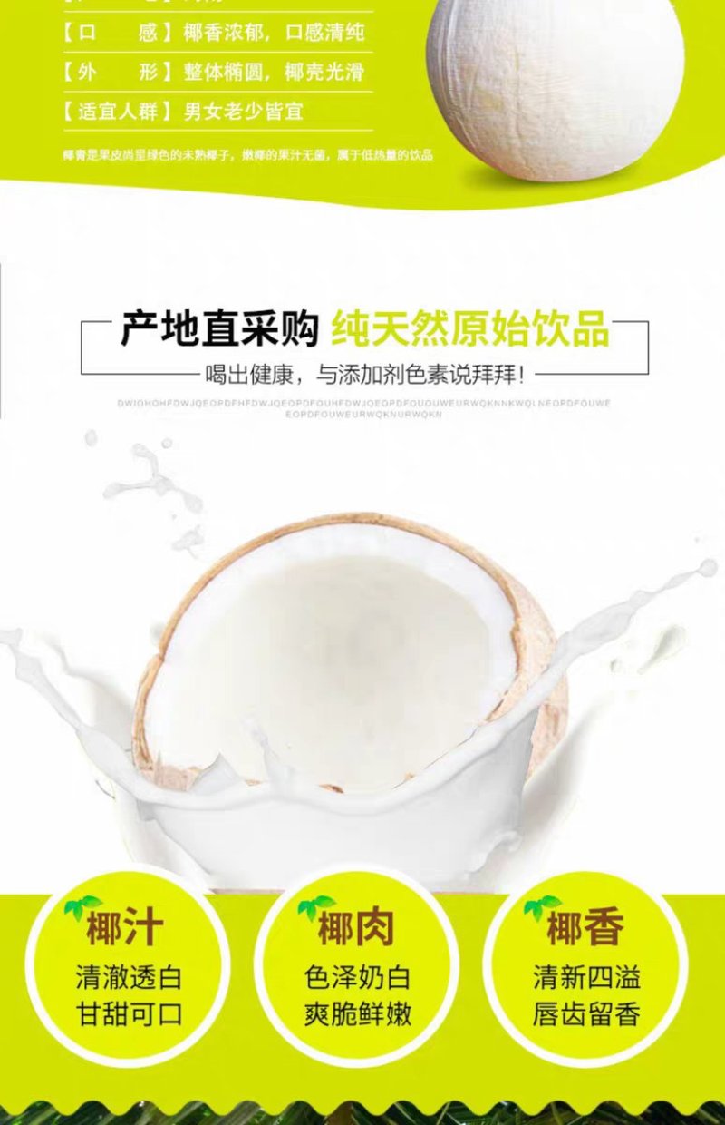 海南文昌椰子批发白光椰产地直销白椰皇椰青天天发货