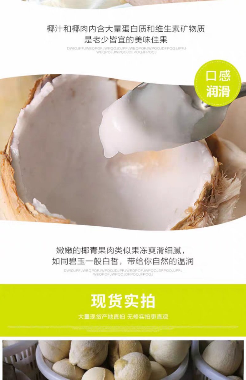 海南文昌椰子批发白光椰产地直销白椰皇椰青天天发货