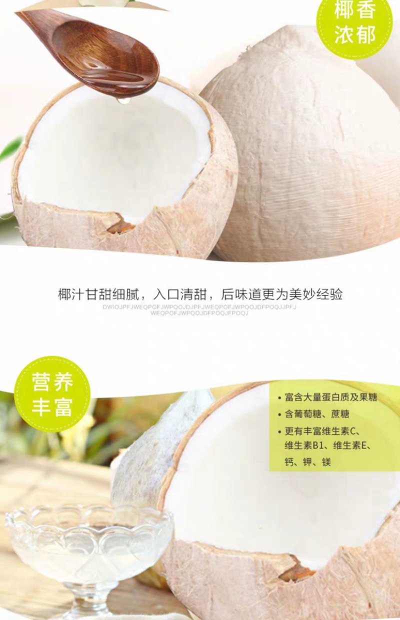 海南文昌椰子批发白光椰产地直销白椰皇椰青天天发货
