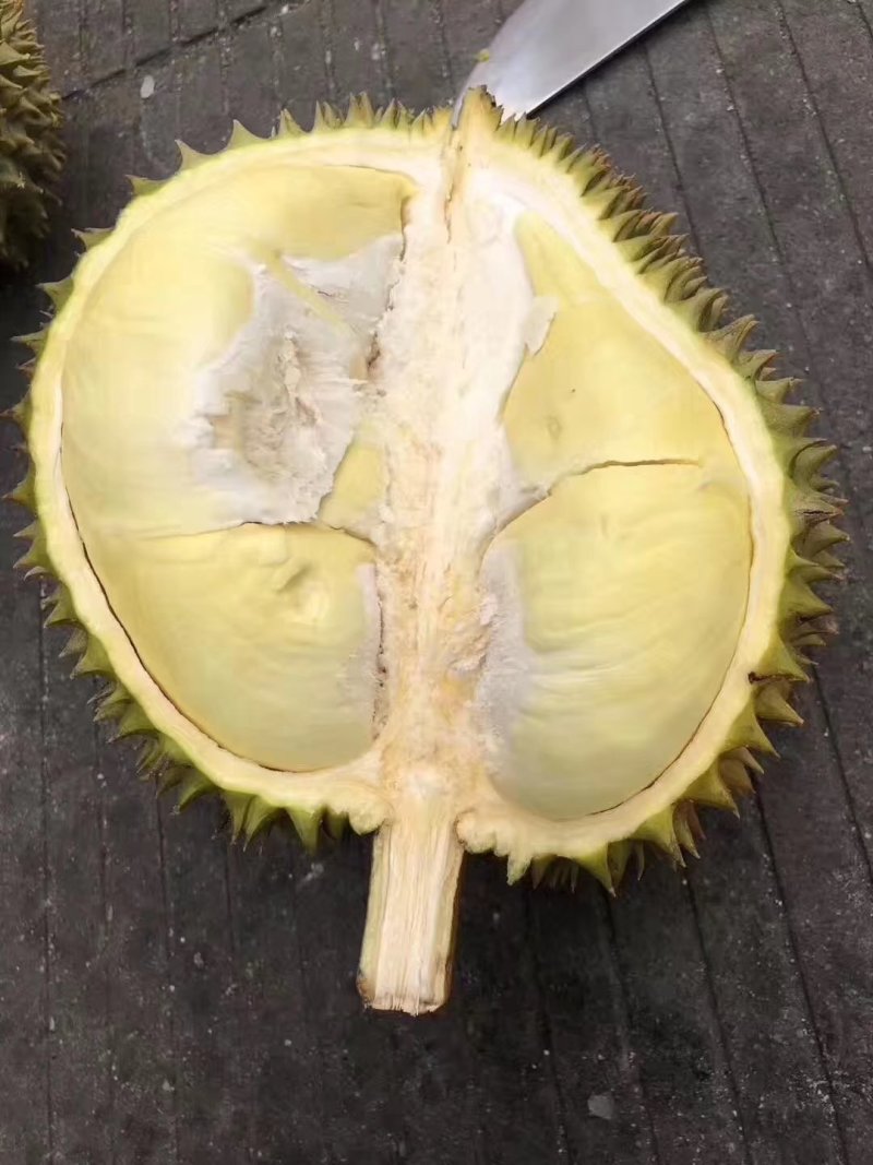 榴师傅泰国金枕头产地一手货源批发商直销批发代办