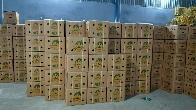 榴师傅泰国金枕头产地一手货源批发商直销批发代办