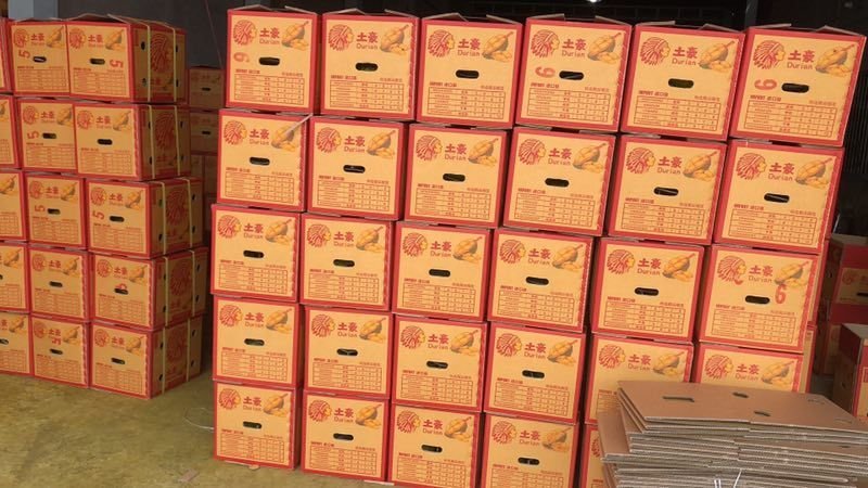 泰国东部金枕榴莲产地一手货源批发商直销批发可代办