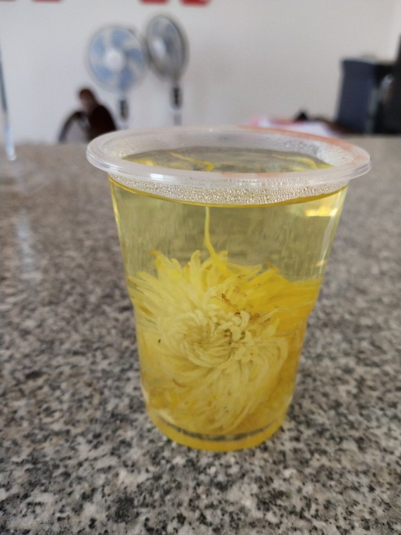 金丝皇菊