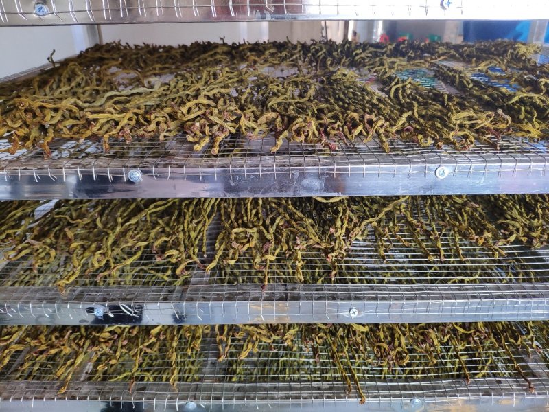 烘干精品豆角干，量大从优！