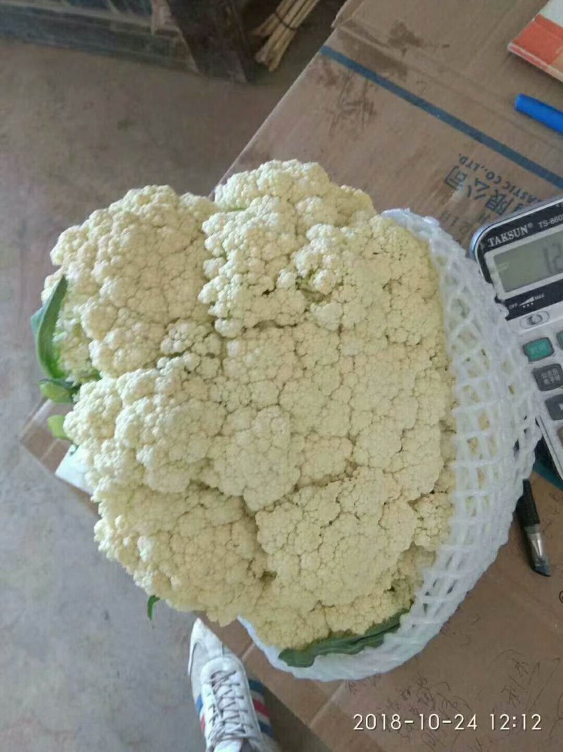 河北邯郸万亩有机菜花，代发全国各地！可对接商超团购量大
