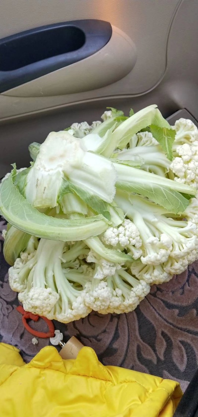 河北邯郸万亩有机菜花，代发全国各地！可对接商超团购量大