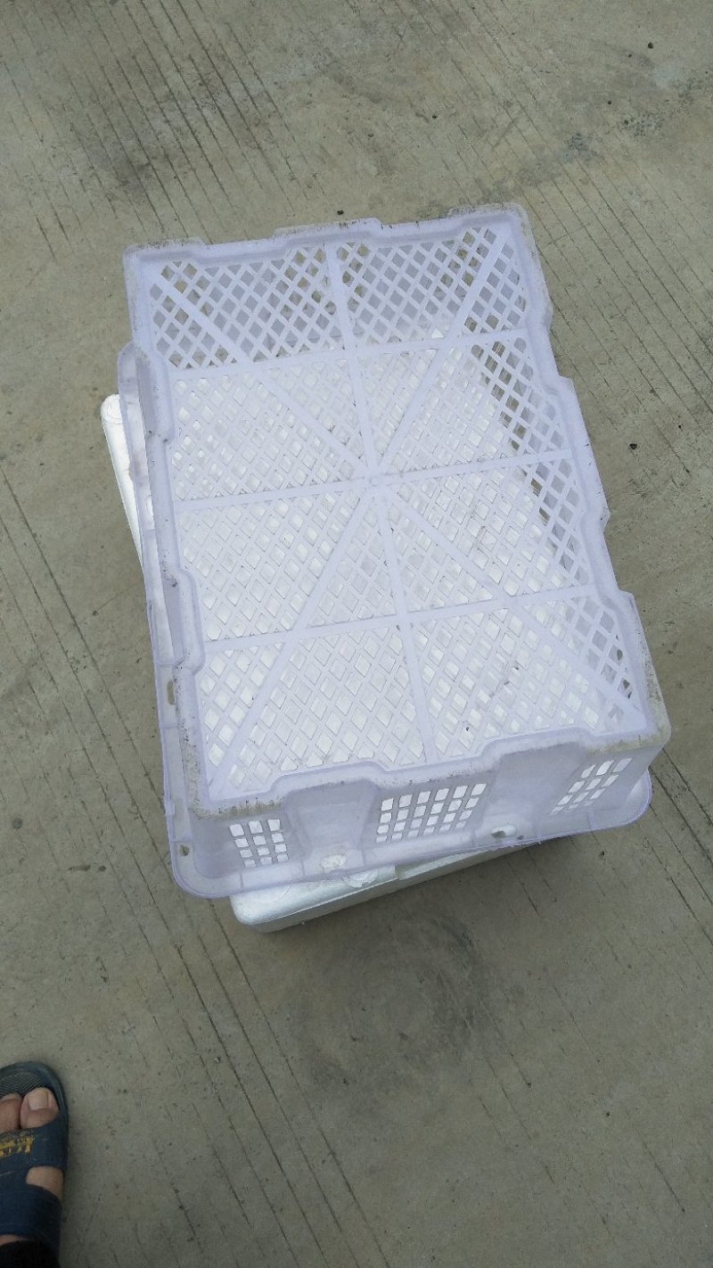 水果筐，迎春礼品水果筐大量供应欢迎来电