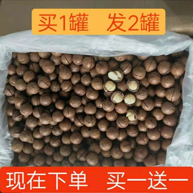 新货夏威夷果连罐装500g奶油坚果干果散装特产批发