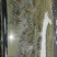蟹苗开始卖了，
