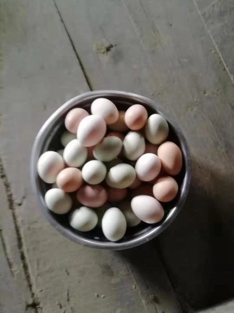 秀山土鸡蛋