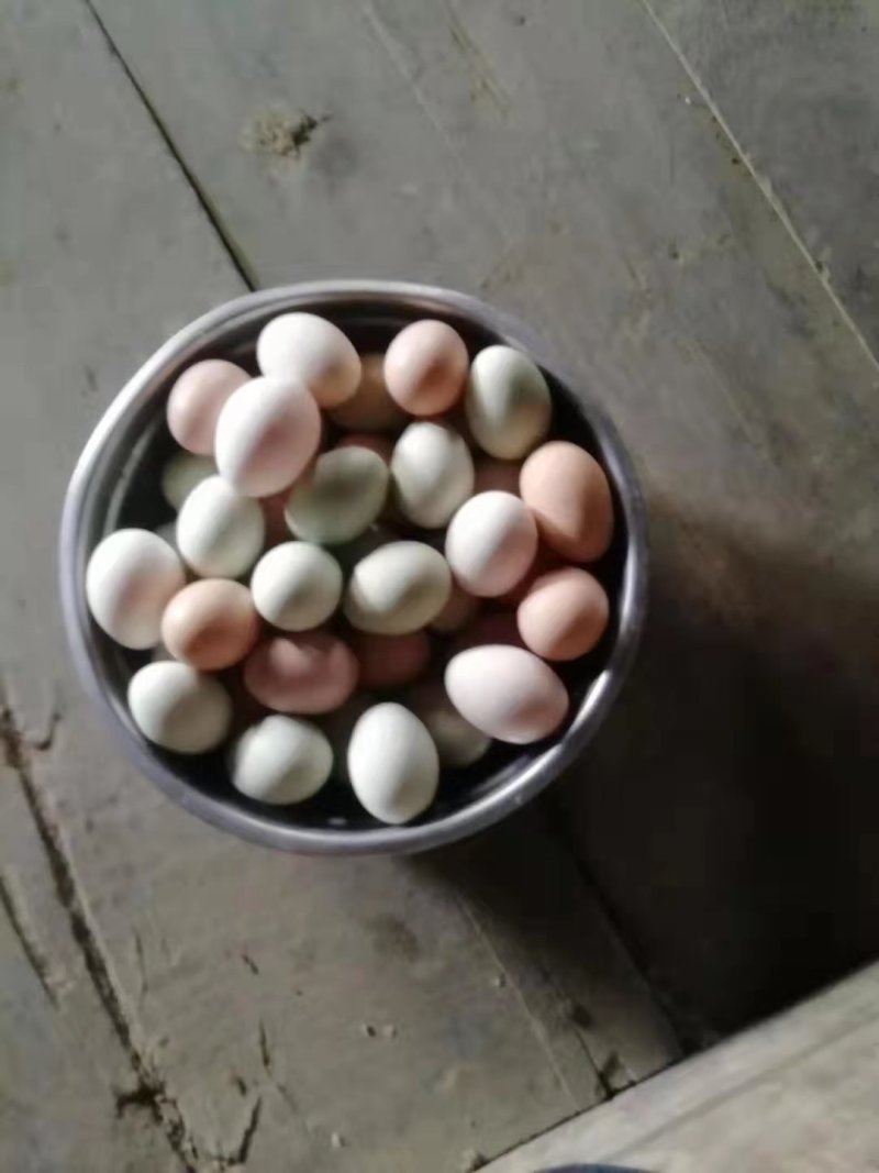 秀山土鸡蛋