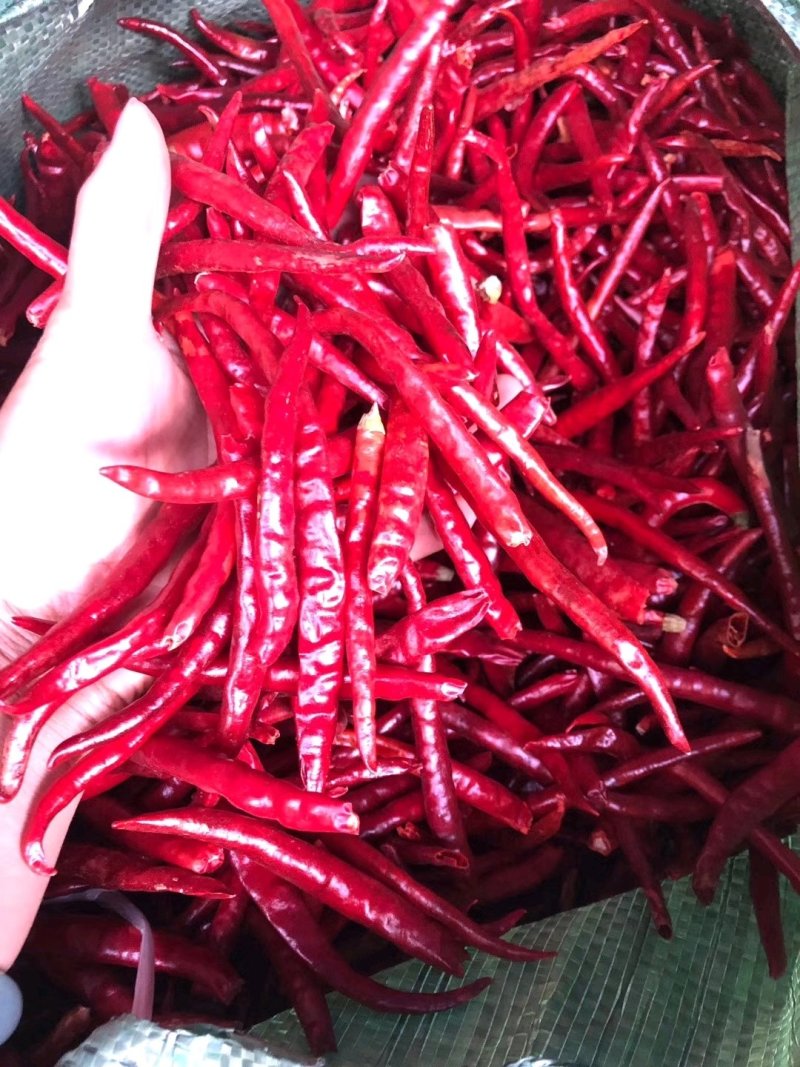 干辣椒，丘北辣大量现货需要的联系