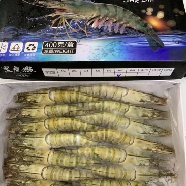 黑虎虾野生一手货源