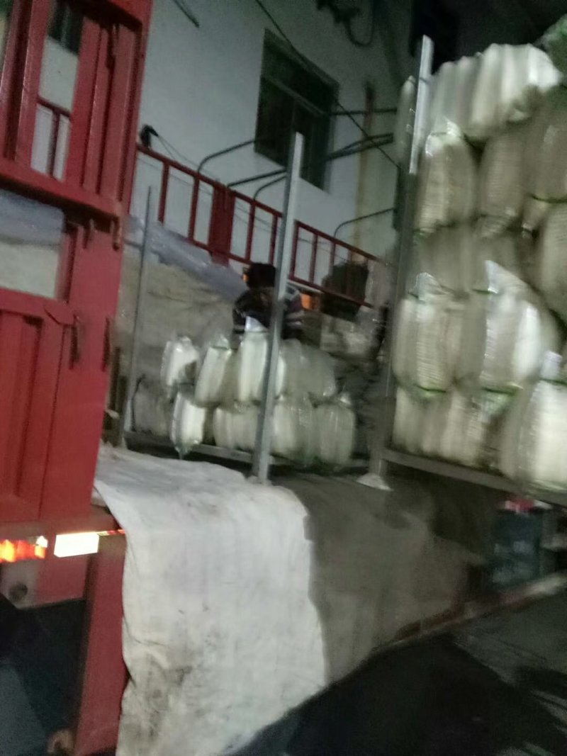 白萝卜大量供应欢迎光临