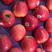 新西兰红玫瑰苹果进口苹果进口水果批发直发