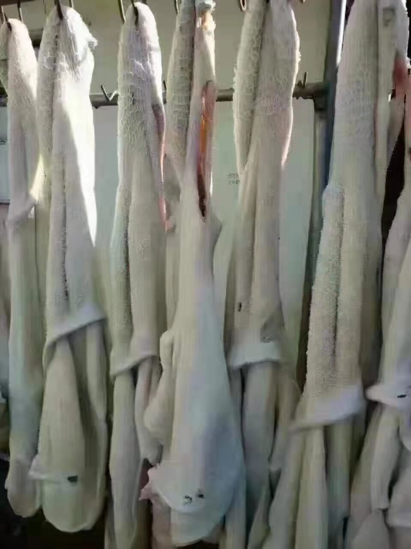 水退牛肚无泡水全是大牛肚