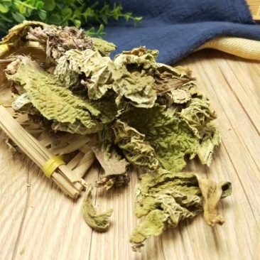 中药材独一味独一味干111农家初选111