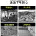 挖树机起树断根移树起苗机挖土球刨坑铲楸油镐破碎机起树机