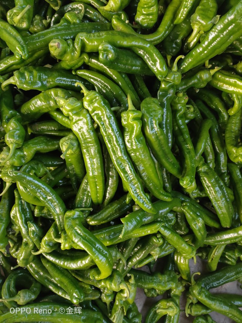 蔬菜