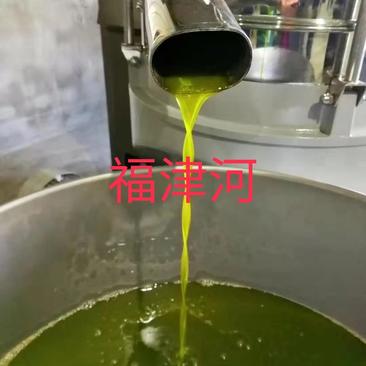 橄榄油甘肃陇南武都特级初榨橄榄油橄榄自榨新鲜