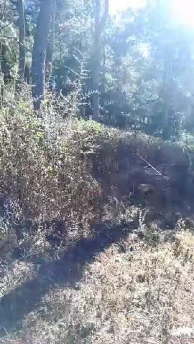土地出租或转让