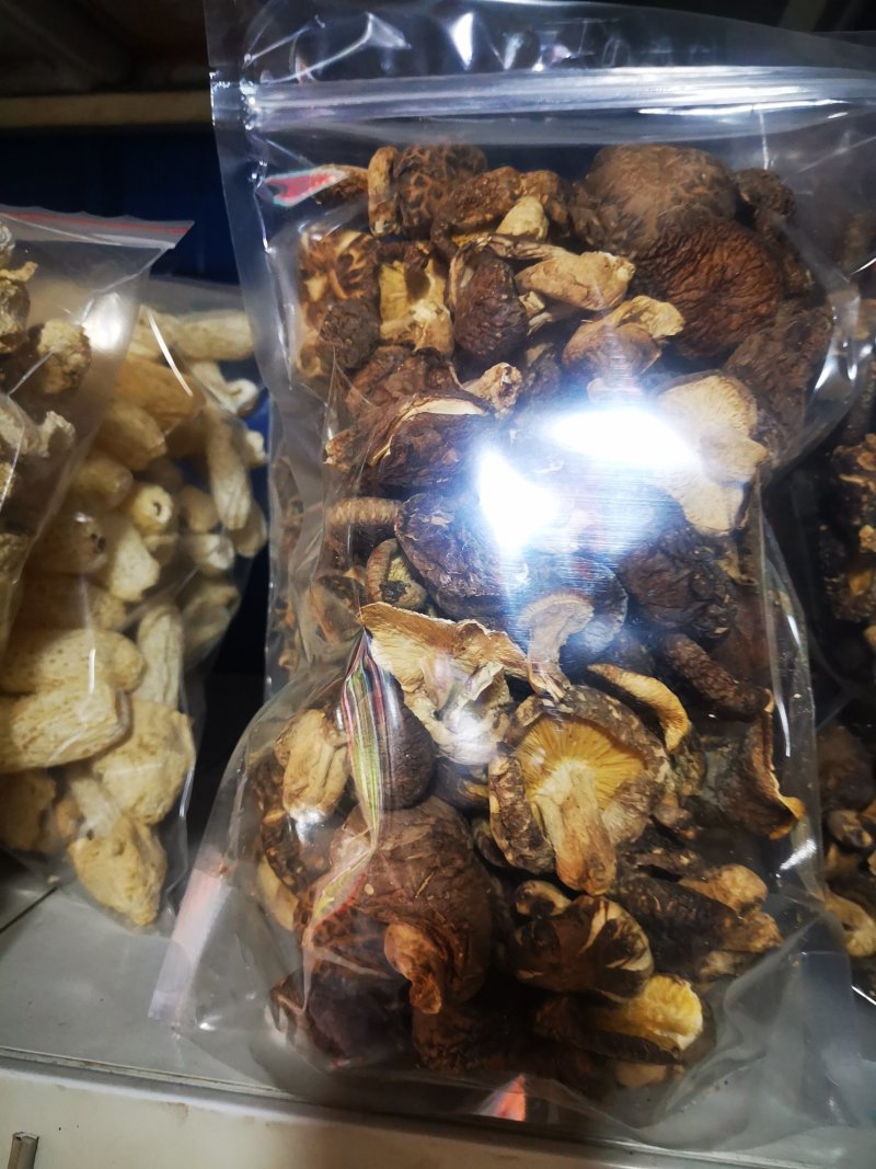 椴木香菇青冈木香菇