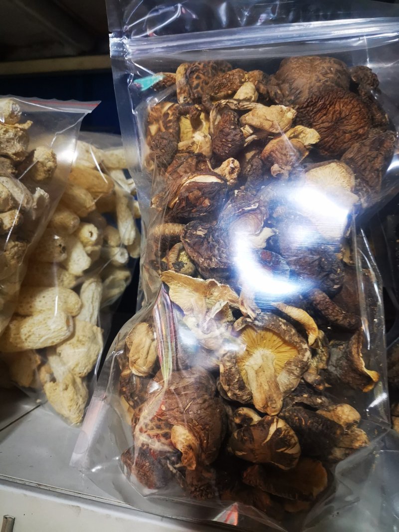 椴木香菇青冈木香菇