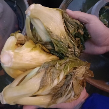 包心芥菜，老坛酸菜无盐酸菜