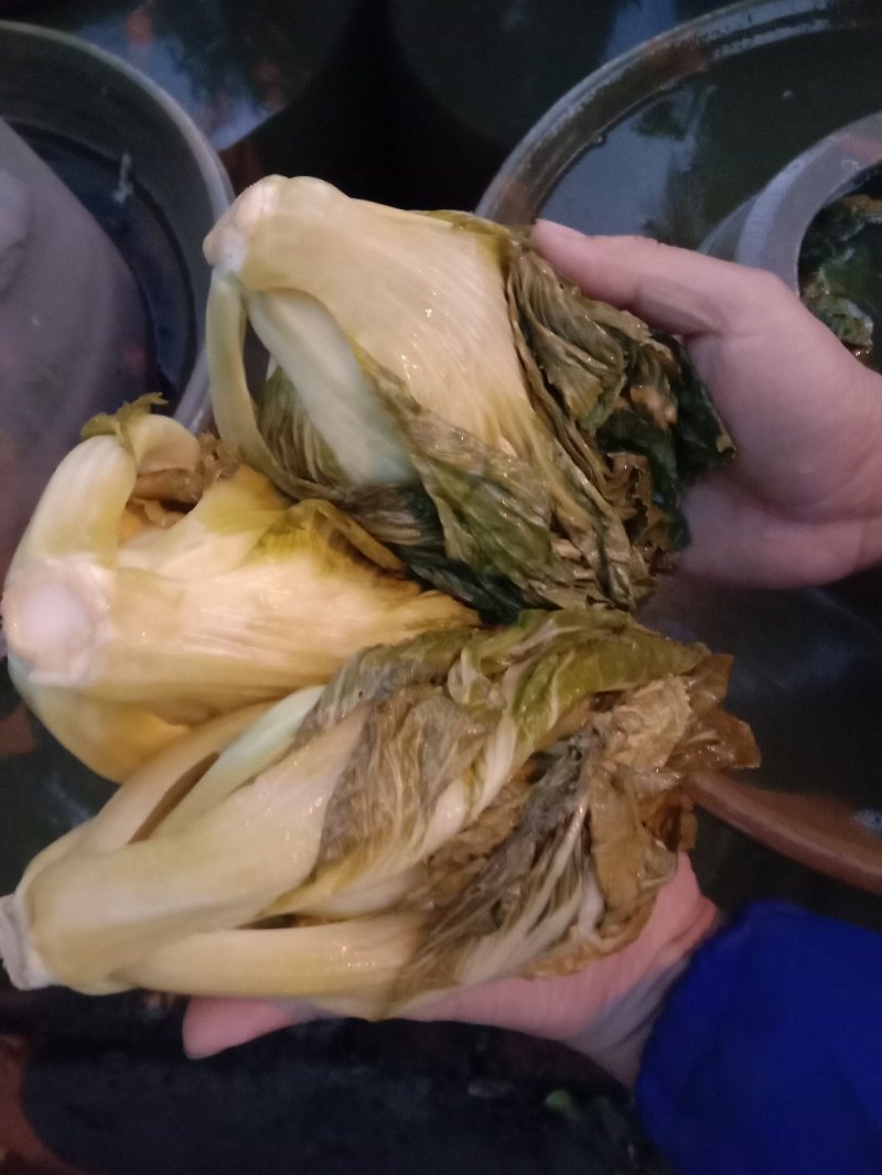 包心芥菜，老坛酸菜无盐酸菜