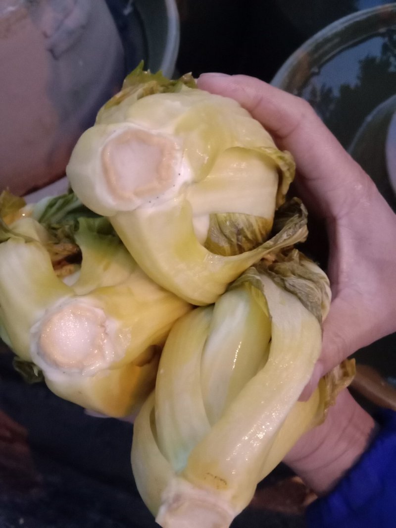包心芥菜，老坛酸菜无盐酸菜