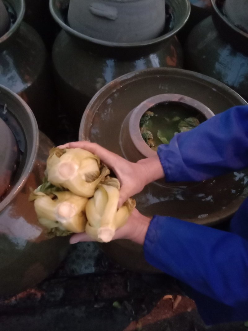 包心芥菜，老坛酸菜无盐酸菜