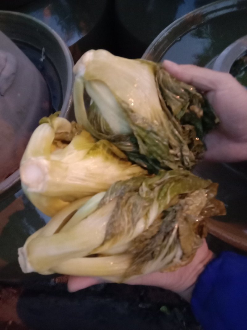 包心芥菜，老坛酸菜无盐酸菜